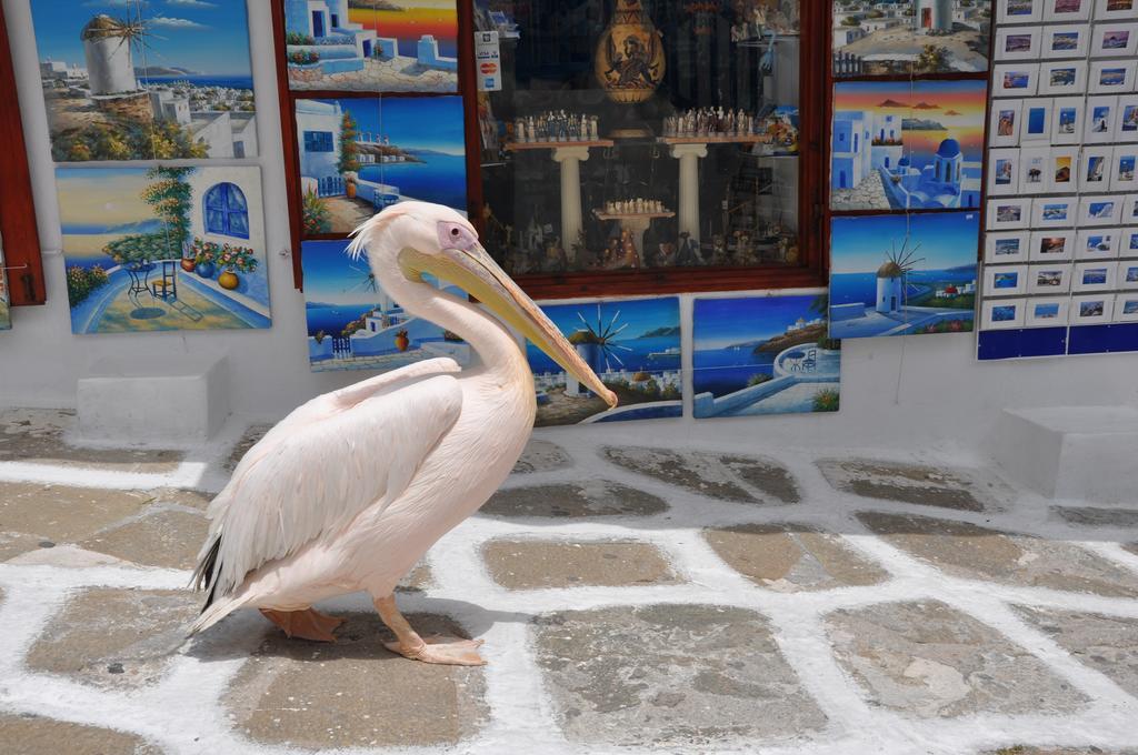 Mykonos Town Bleland Mykonos 아파트 외부 사진